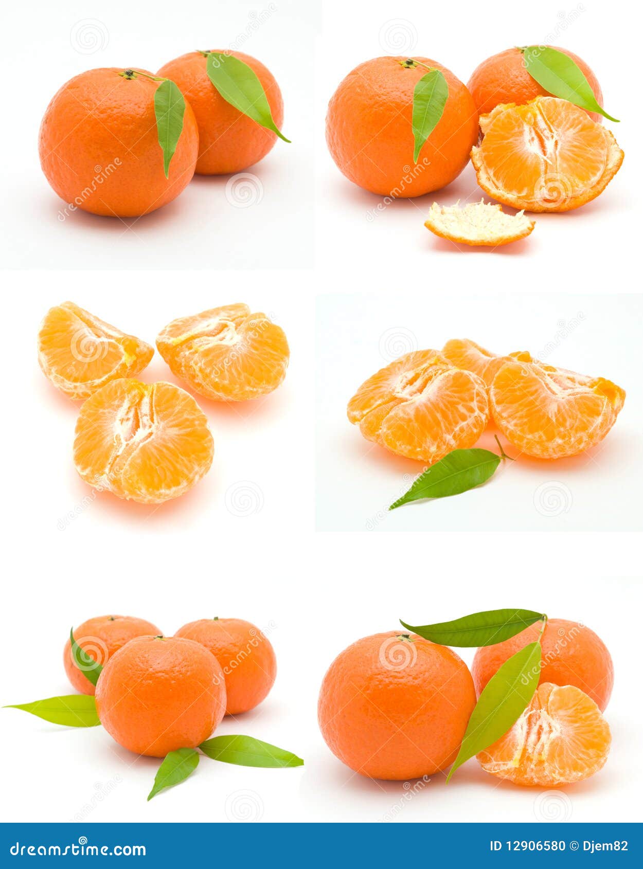 Tangerine stock photo. Image of sugary, leaf, fruit, showy 12906580