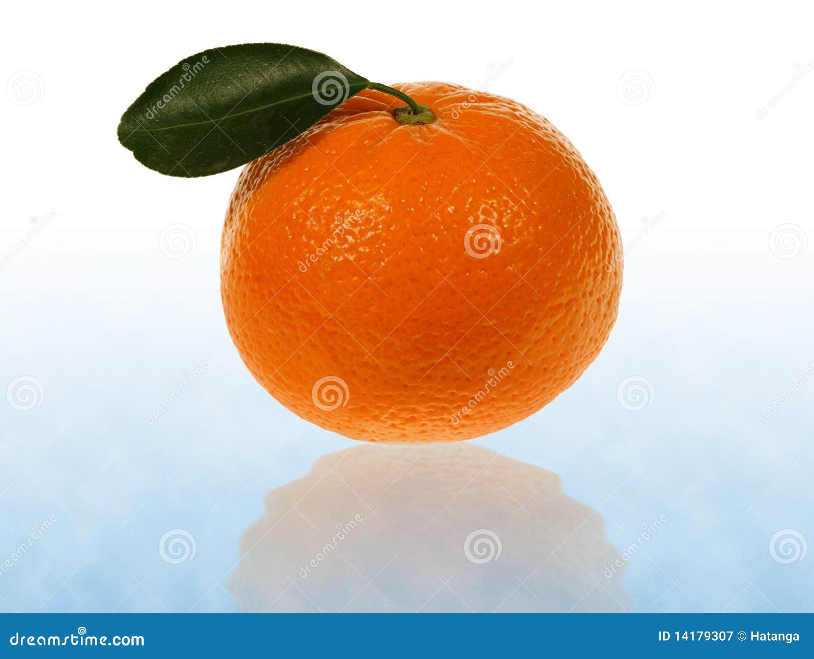 mandarin vs tangerine mandarin vs tangerine