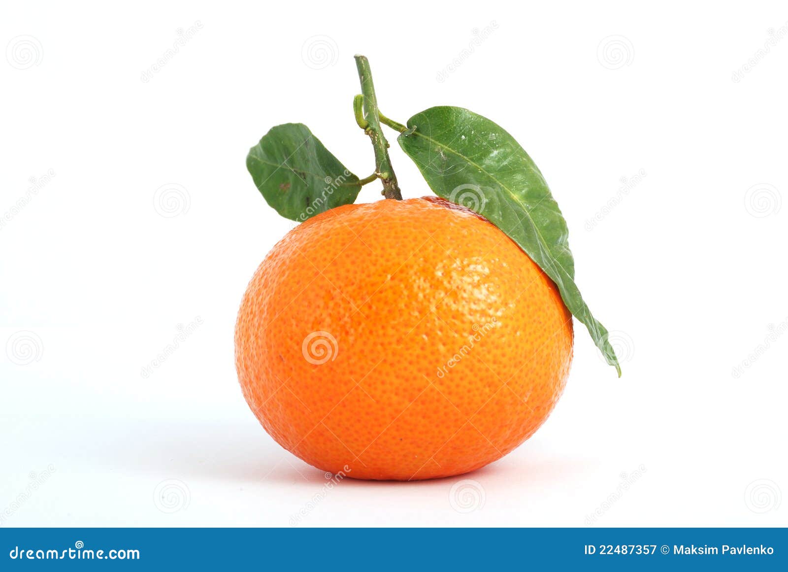 Tangerine stock image. Image of leaf, green, citrus, refreshment 22487357