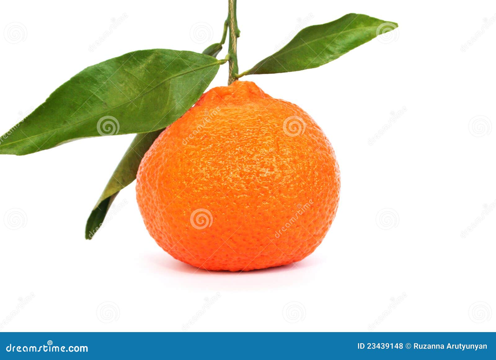 Tangerine Royalty Free Stock Photos - Image: 23439148