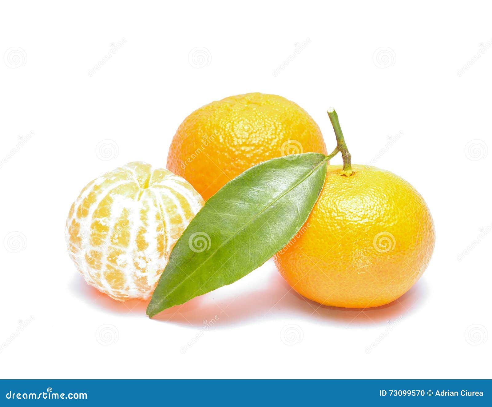 Tangerine or Mandarin Fruit Stock Photo Image of refreshment, fruity