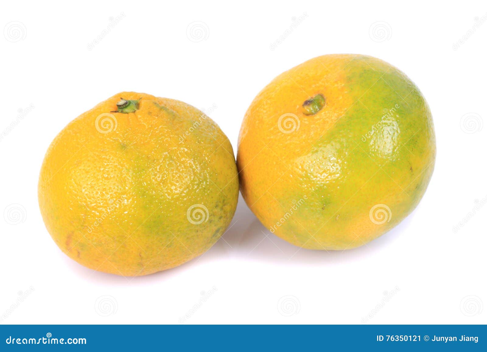 Tangerine or Mandarin Fruit Stock Image Image of juice, slice 76350121