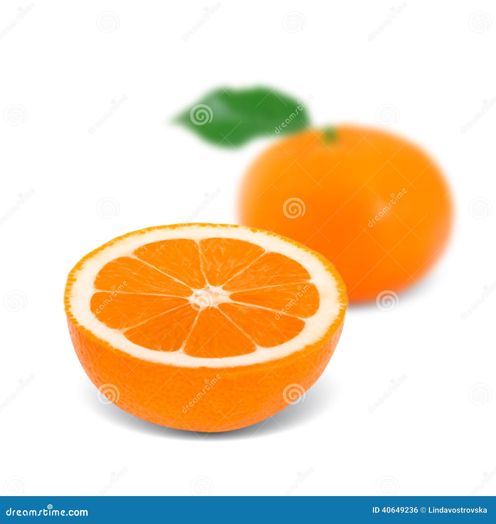Tangerine stock photo. Image of dieting, citrus, nature 40649236