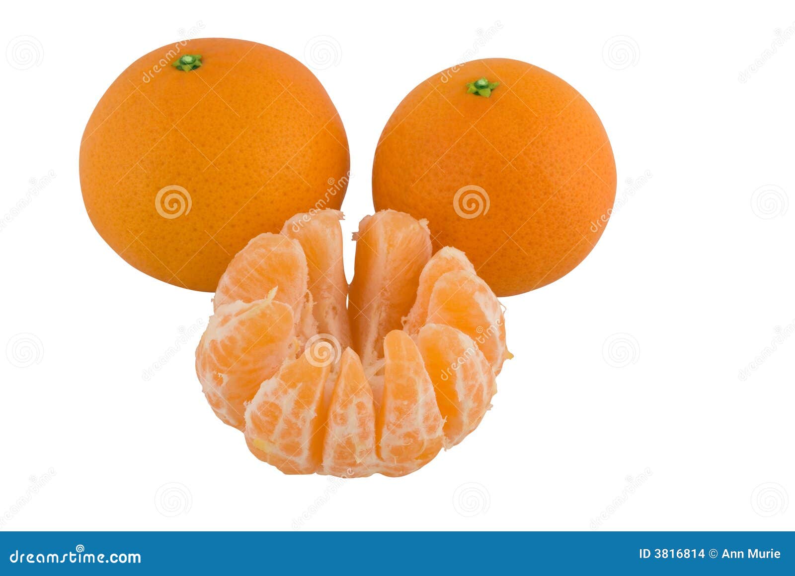 satsuma mandarin clementine tangerine satsuma mandarin clementine tangerine