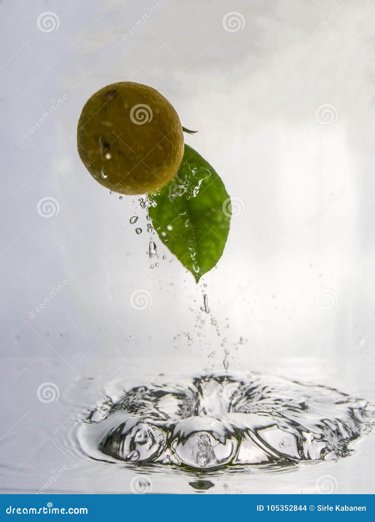 Tangerine water splash stock photo. Image of motion - 105352844