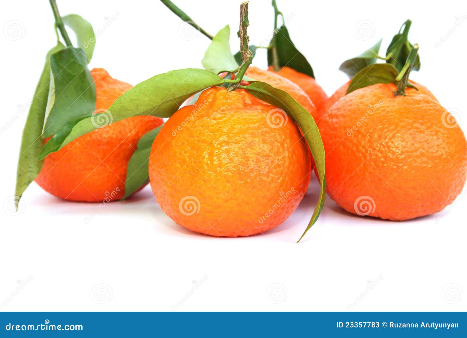 Tangerines stock image. Image of juicy, crop, life, multi 23357783
