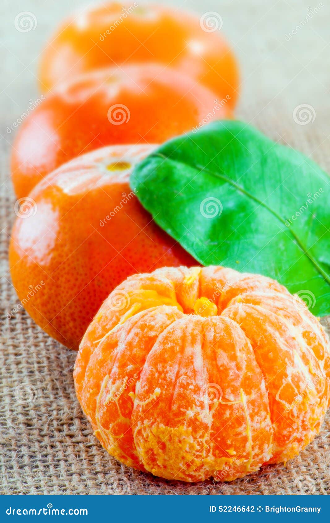 Tangerines stock photo. Image of easy, closeup, leaves 52246642