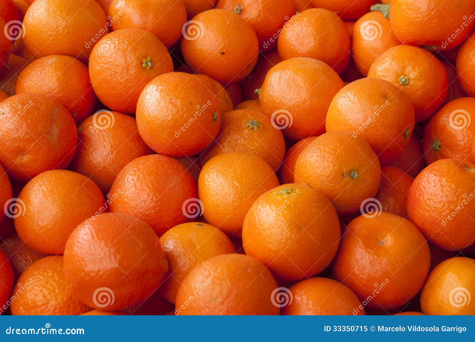 Tangerines stock image. Image of ripein, citrus, color