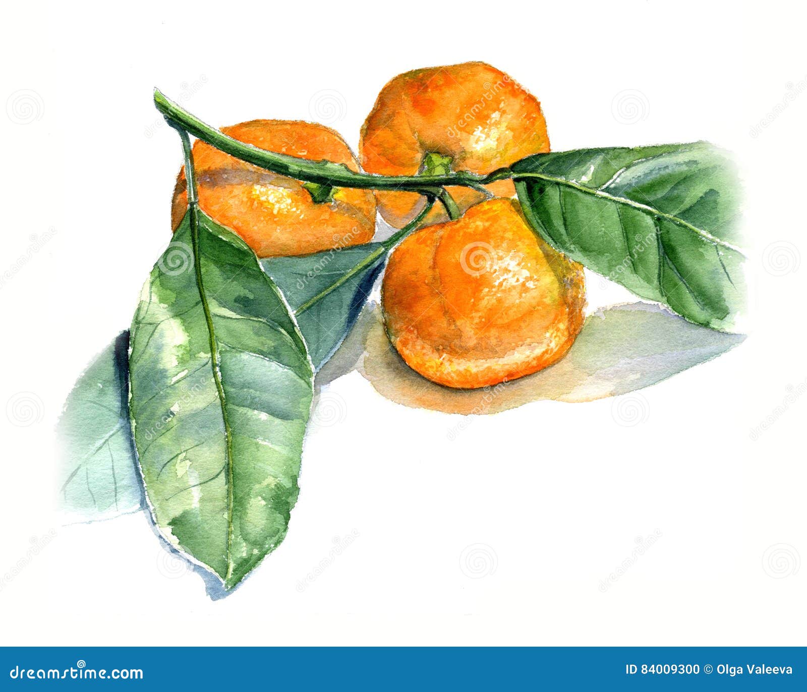 tangerine color watercolor background tangerine color watercolor background