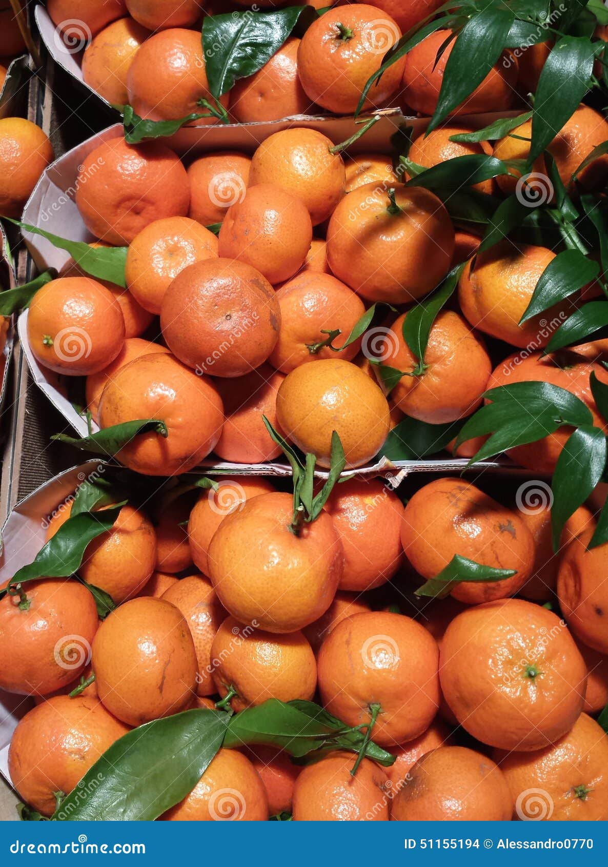 Tangerines stock photo. Image of agriculture, nutrient 51155194