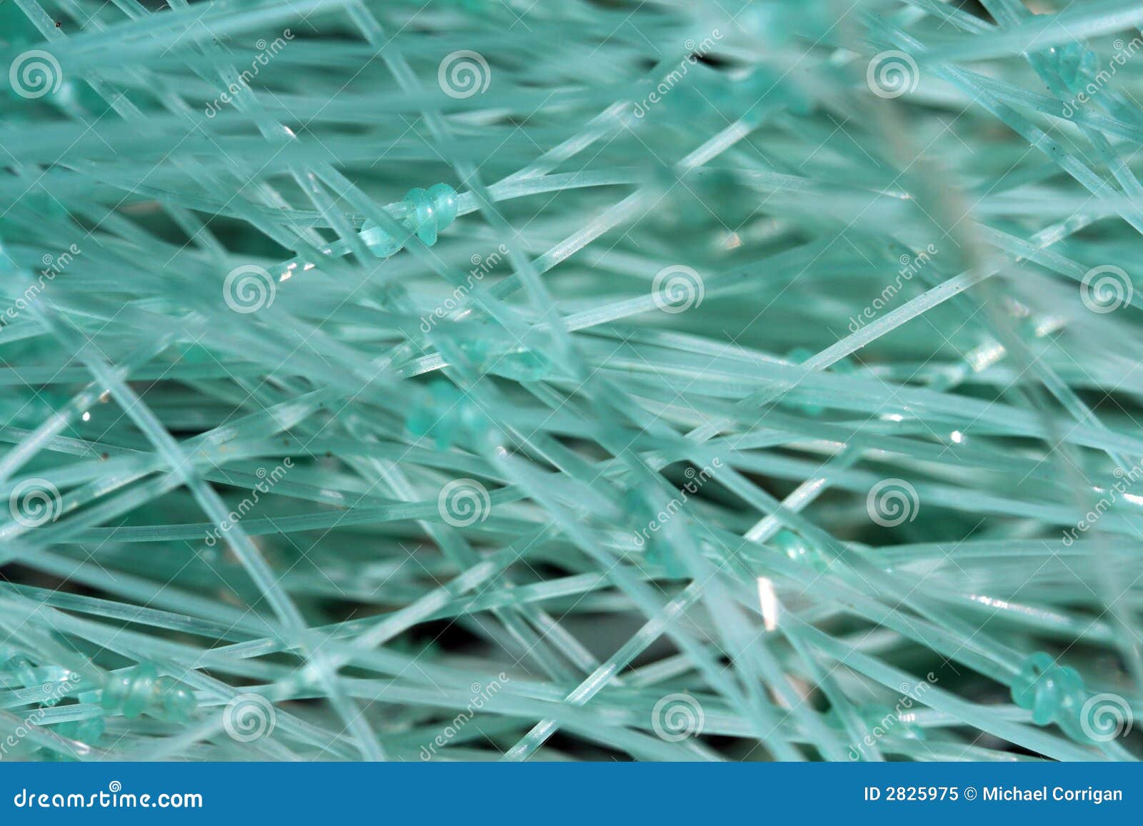 2,128 Tangled Fishing Line Images, Stock Photos, 3D objects, & Vectors, fishing  string