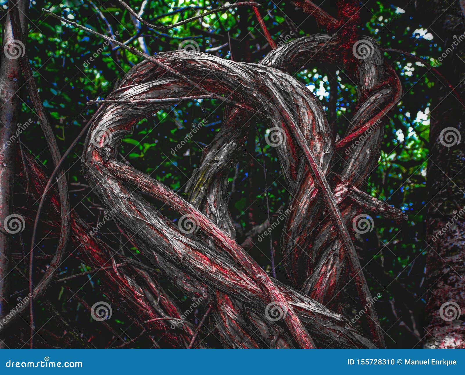 A Tangled Heart Stock Photo Image Of Peculiar Found