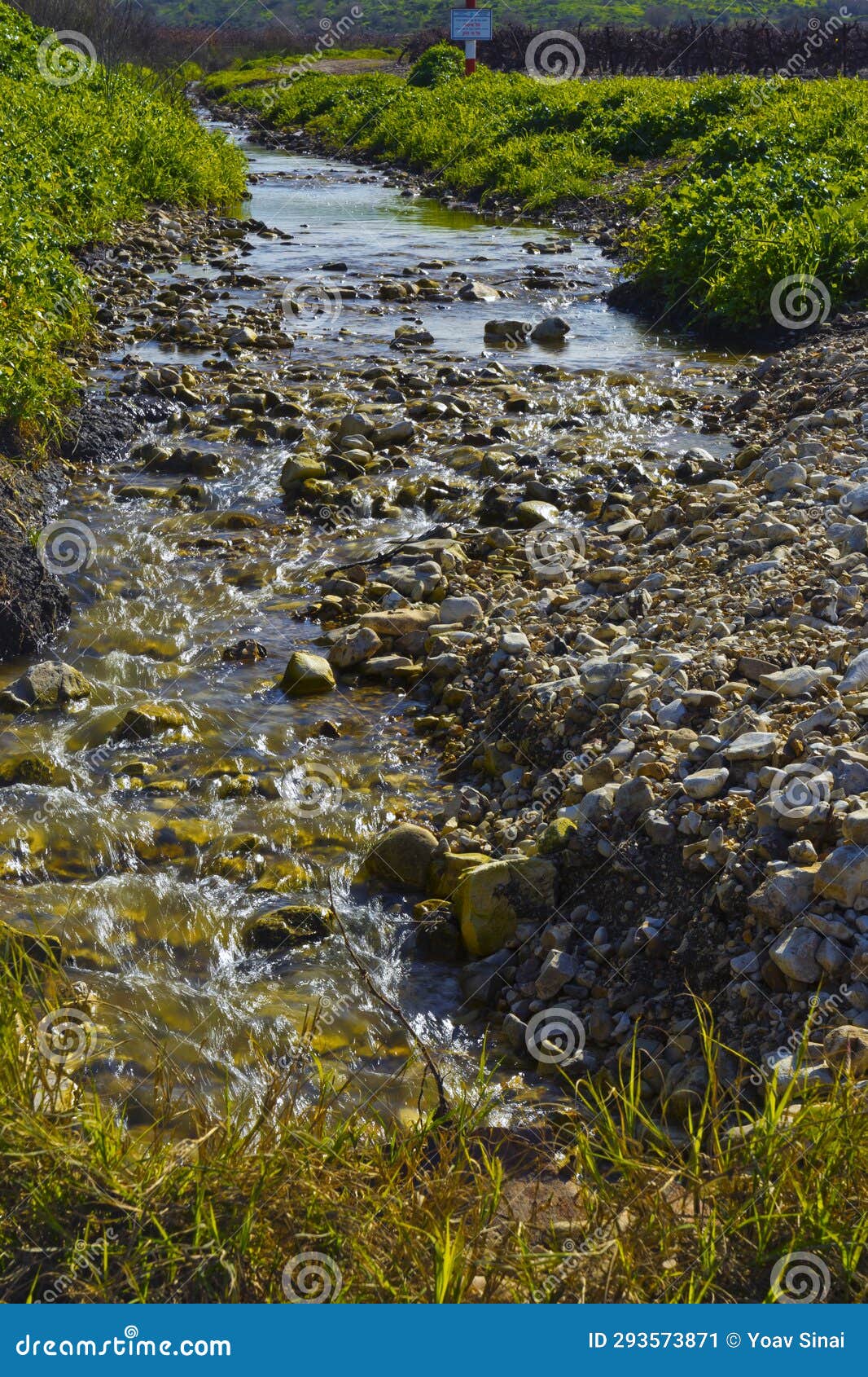 taninim river to before the split to enrich the coastal aquifer israel