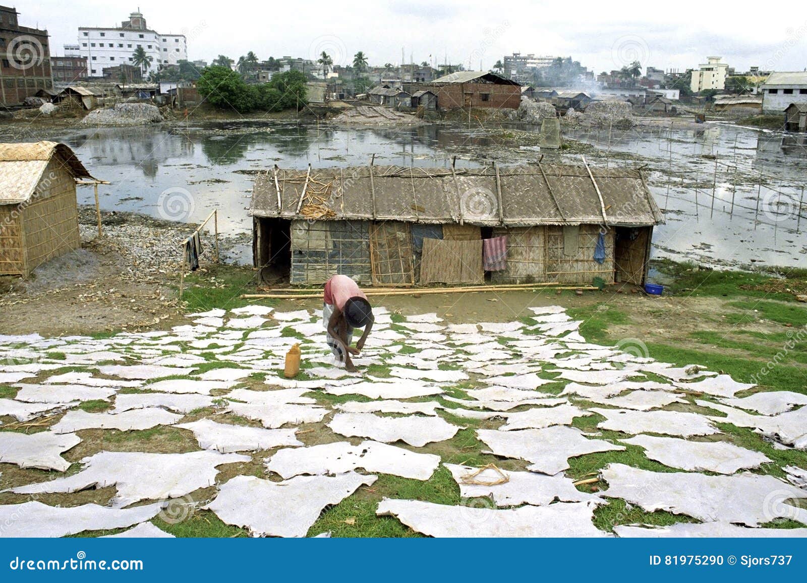 Tannery Source Of Income And Pollution In Dhaka Editorial ... Tannery Source Of Income And Pollution In Dhaka Editorial ...