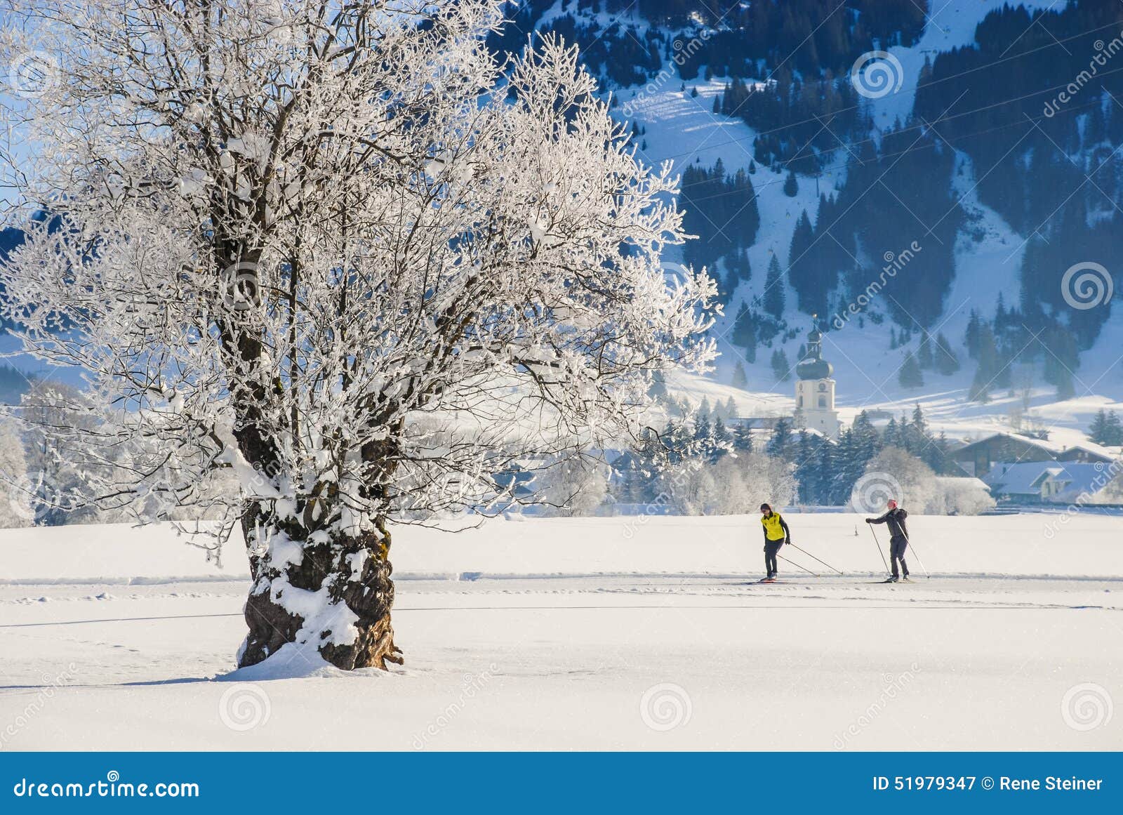 Tannheim Austria Winter Activities and Tree with Snow Editorial