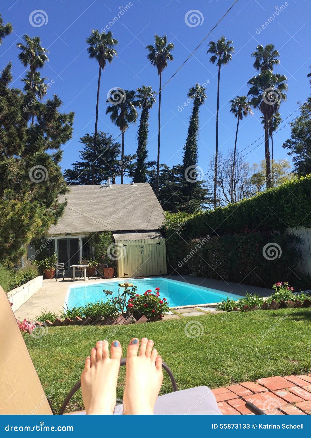 Tanning By The Pool Stock Image Image Of Grass