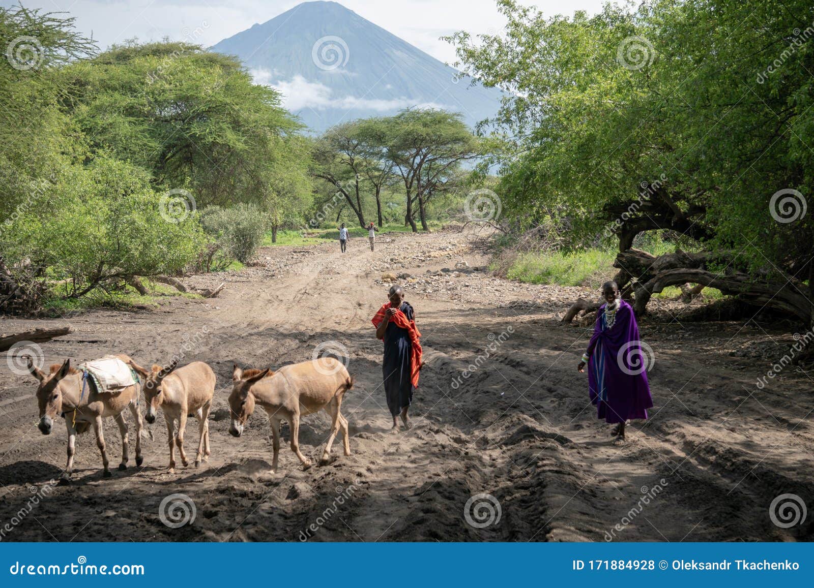 north tanzania natron lake