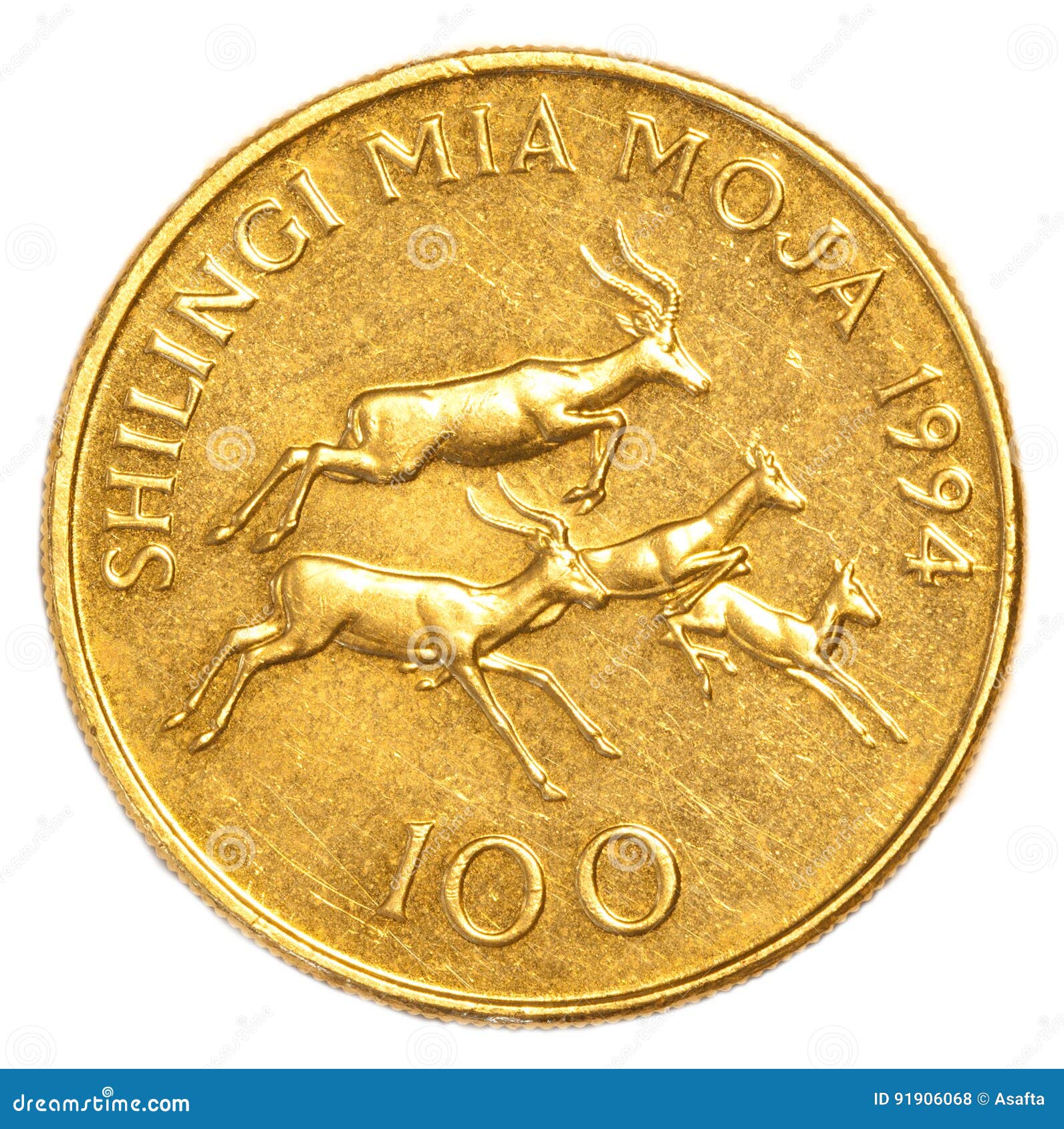100 Tanzanian Shilling Coin Stock Photo Image Of Invest Economic la-gu-a-b-sica-del-chel-n-tanzano-sin-fronteras