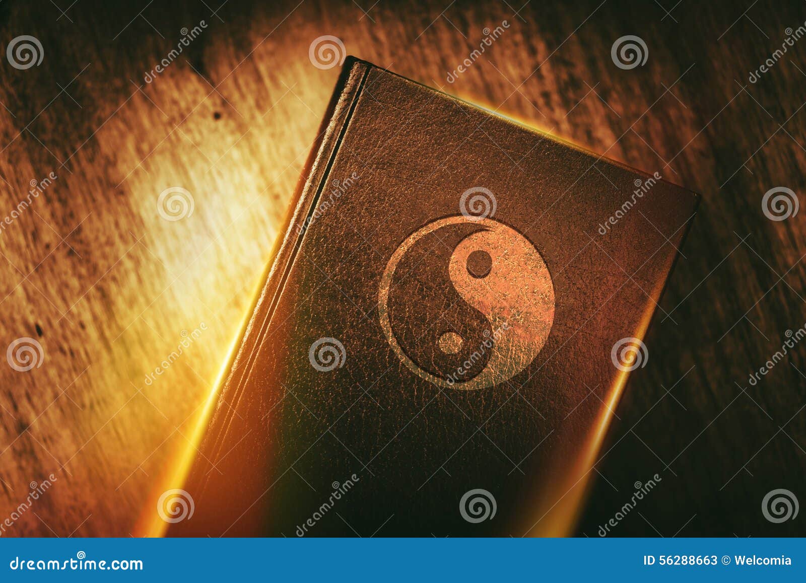 taoism book of harmony