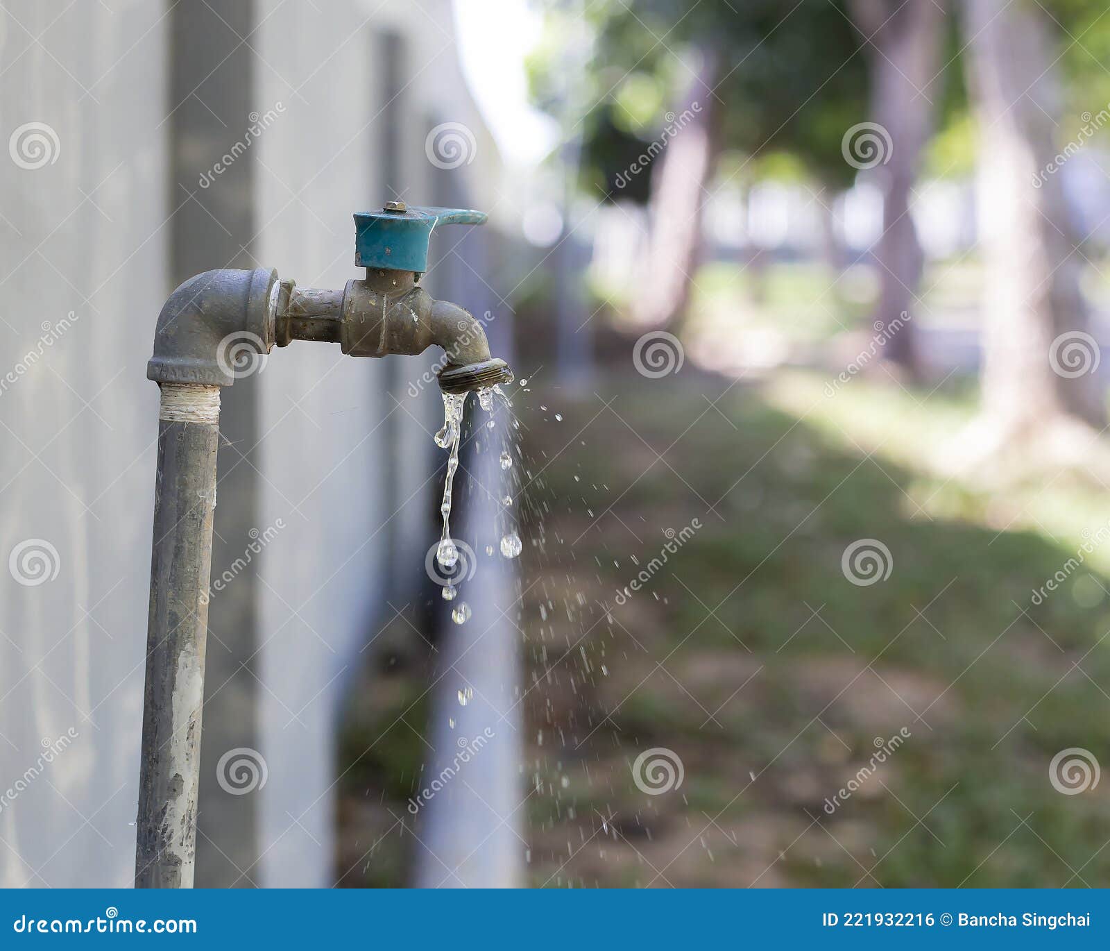 Tap Garden Water for Use in Watering Plants in the Garden Stock Photo
