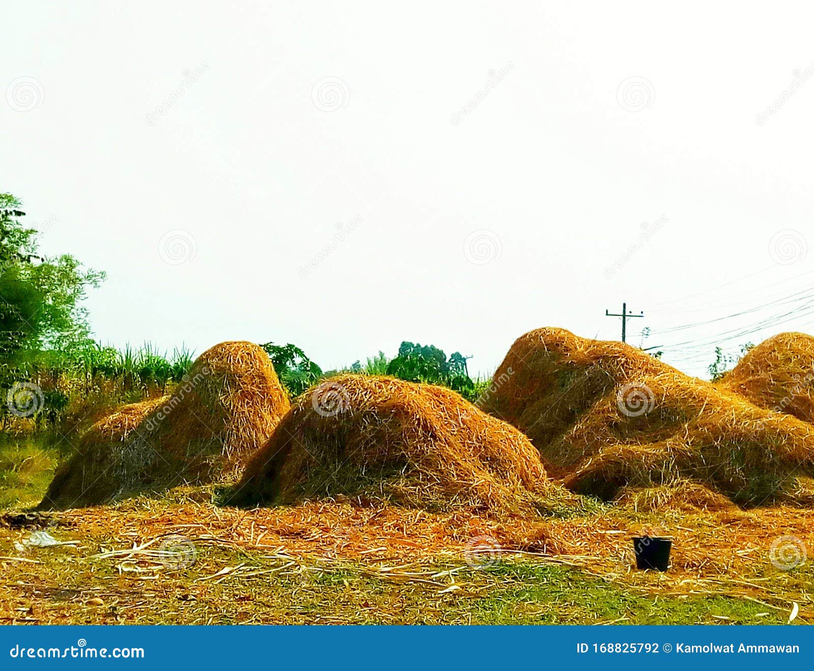 Tapa De Paja, Paja, Suelo, Azul, Amarillo Foto de archivo - Imagen