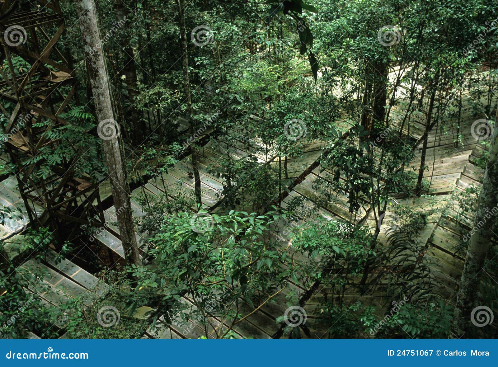 tapajos national park