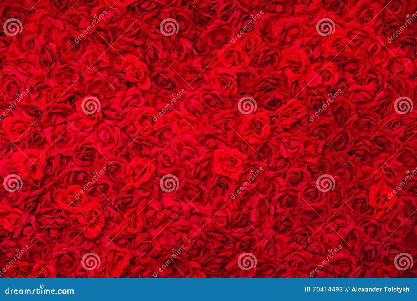 Aannemer Continent teleurstellen Tapijt van rozen backgound stock afbeelding. Image of textiel - 70414493