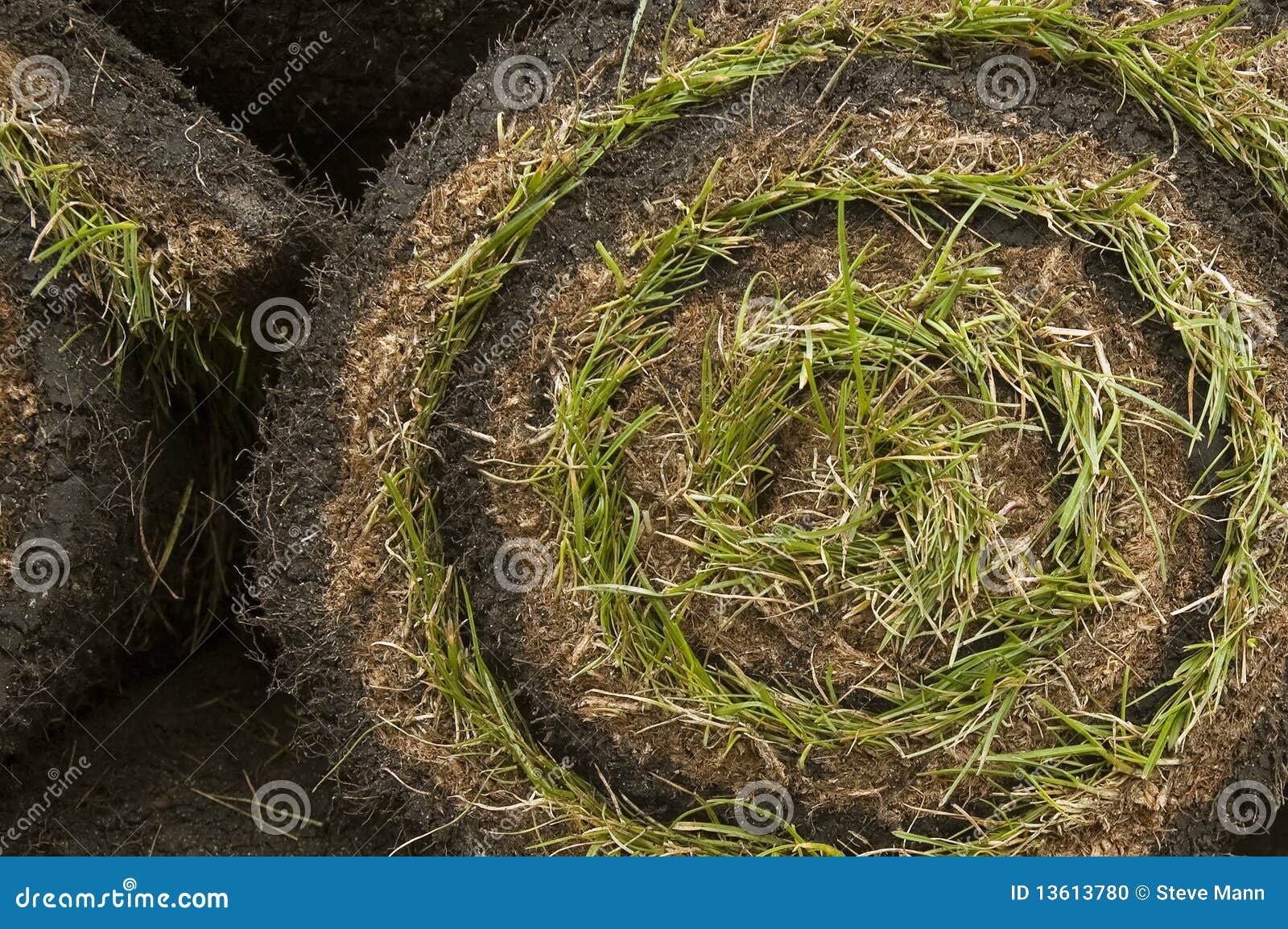 Tappeto erboso dell'erba. Spirale del tappeto erboso rotolato fresco dell'erba per il giardino