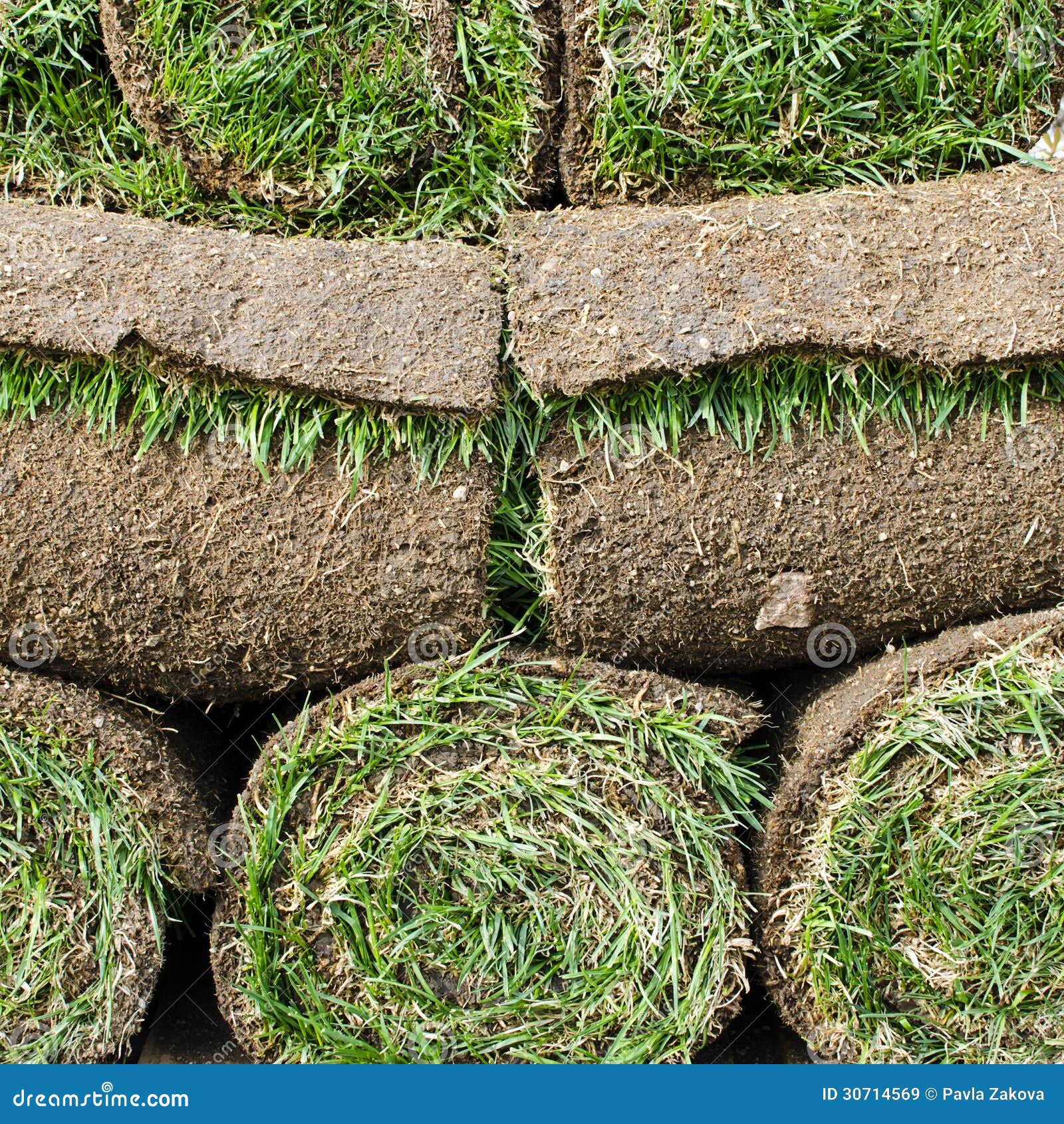 Nastro Adesivo Per Erba Sintetica - Banda Giunzione 5mx15cm Per Fissaggio Prato Artificiale - Foto 10