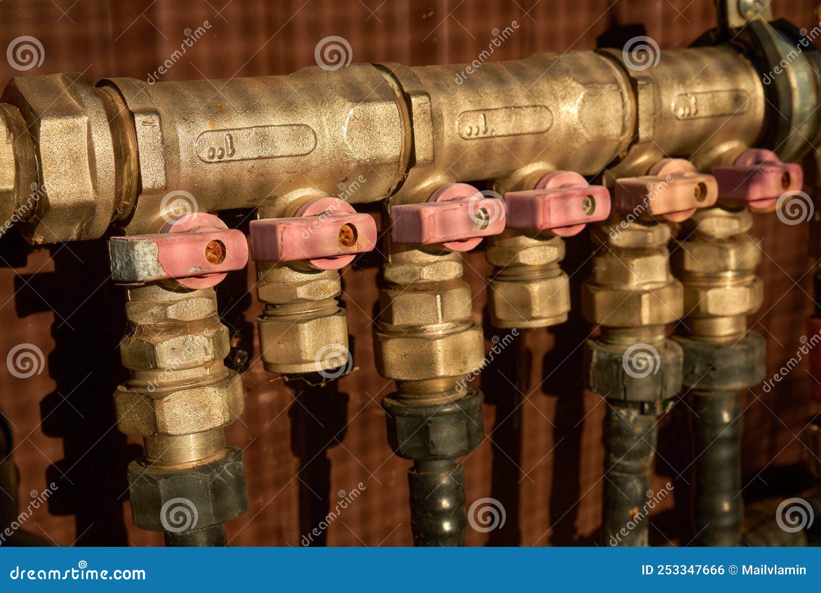 Taps for Connecting Drip Irrigation Stock Photo Image of plant, organic 253347666