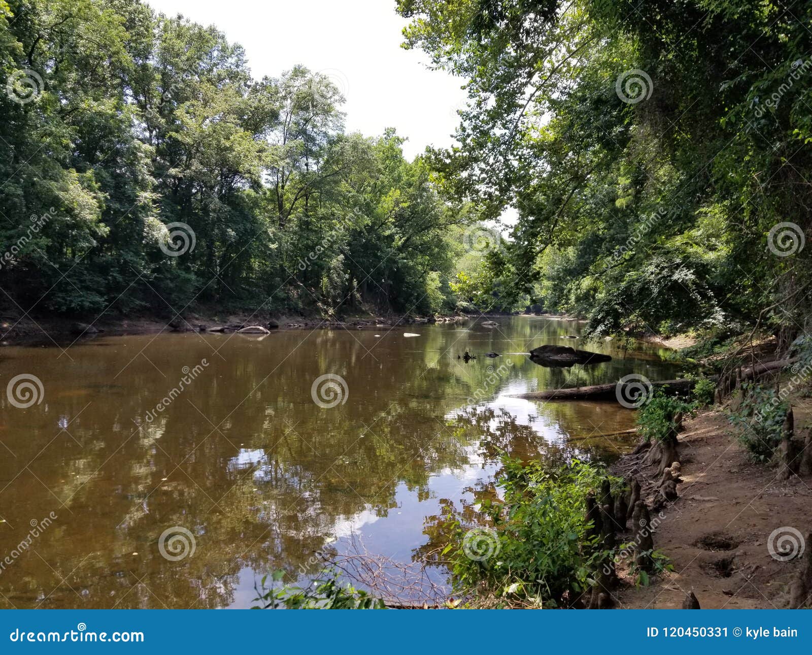Tar river battle park stock image. Image of park, rocky 120450331