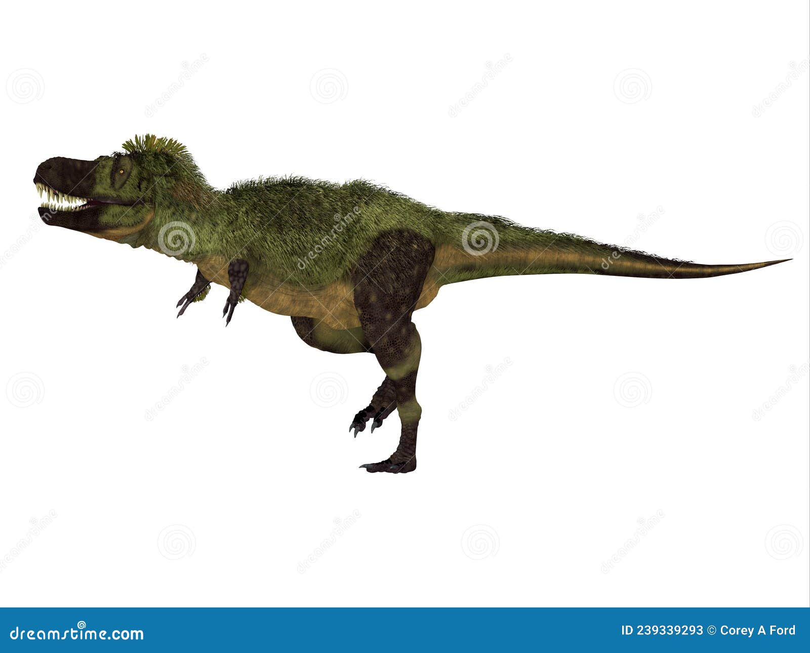 tarbosaurus feathered dinosaur