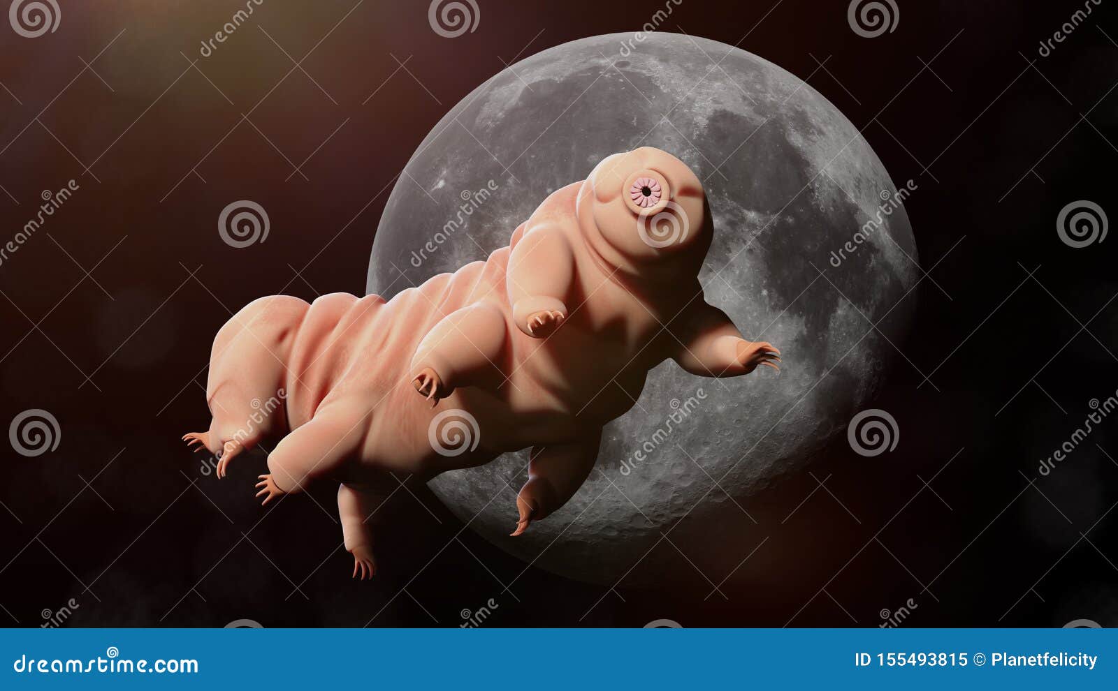 Tardigrade, Water Bear in Outer Space Stock Illustration - Illustration of  extremophile, moss: 155493815