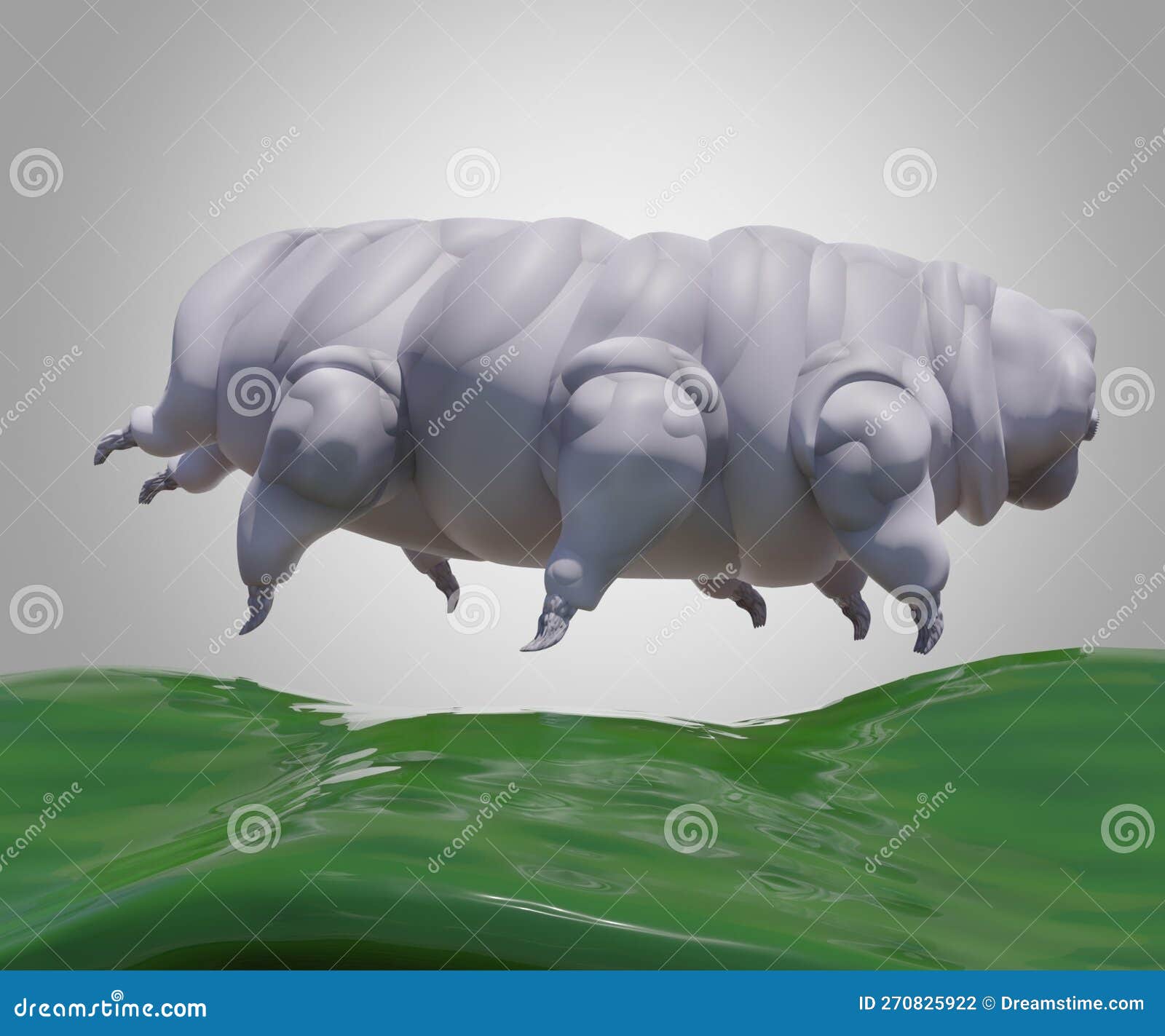 Tardigrade Known As Water Bear or Moss Piglet on the Leaf Stock