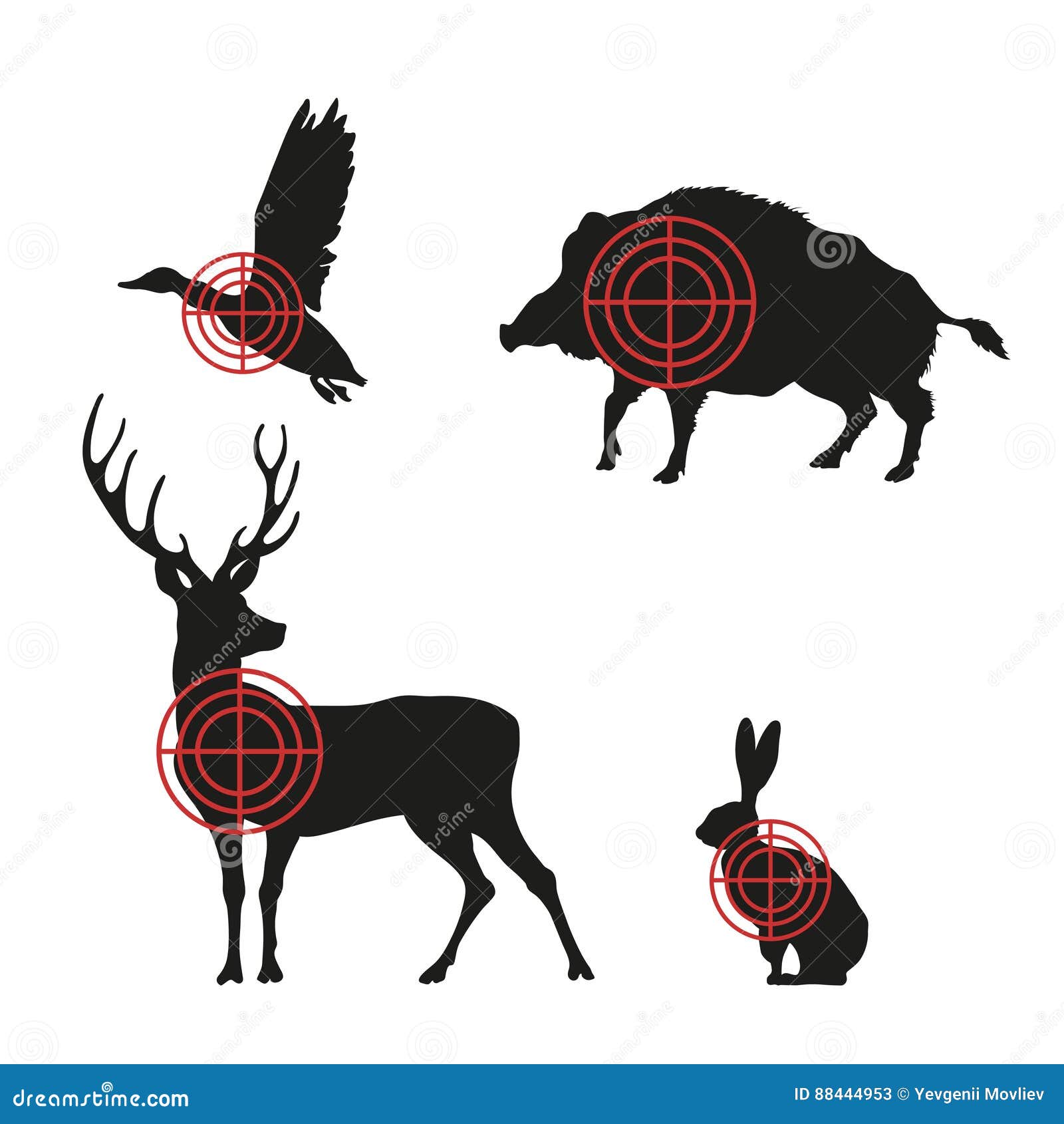Targets With Black Silhouettes Of Animals On A White Background ...