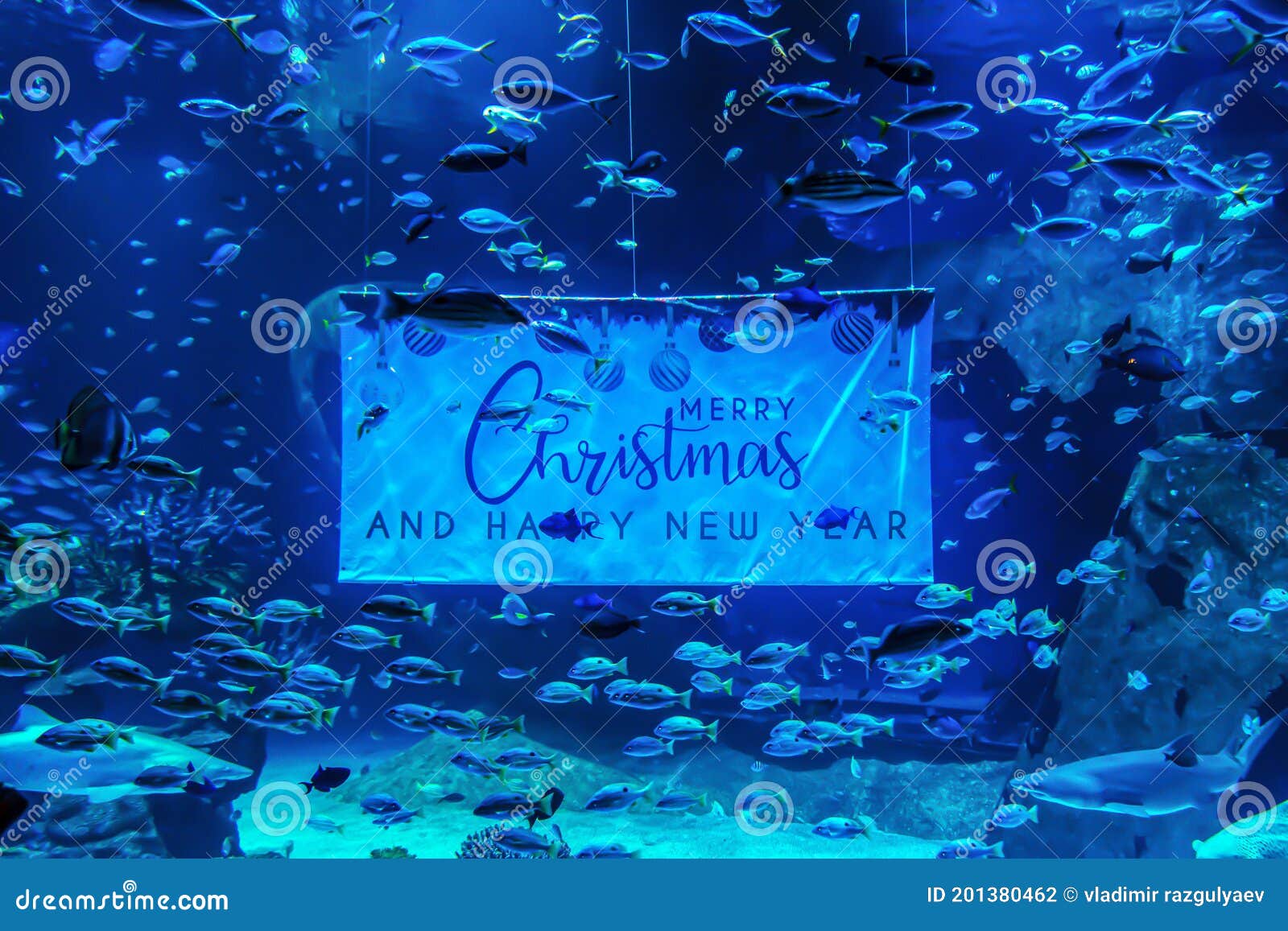 Tarjeta de cartas de saludo del nuevo yearunderwater feliz de la Feliz Navidad en el acuario con peces de colores