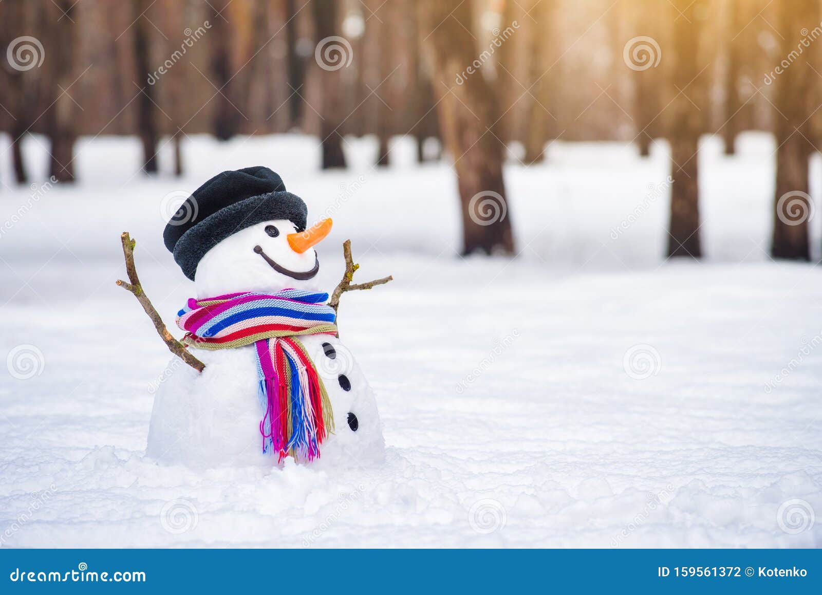 Tarjeta De Invierno Con Un Muñeco De Nieve En Un Parque Urbano Foto de archivo - Imagen de tarjeta, invierno: 159561372