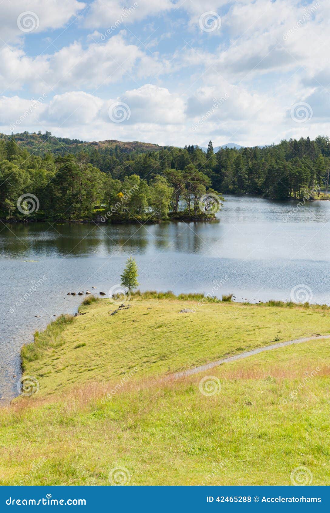 Tarn Hows Lake District National Park England Uk Near Hawkshead Stock ...