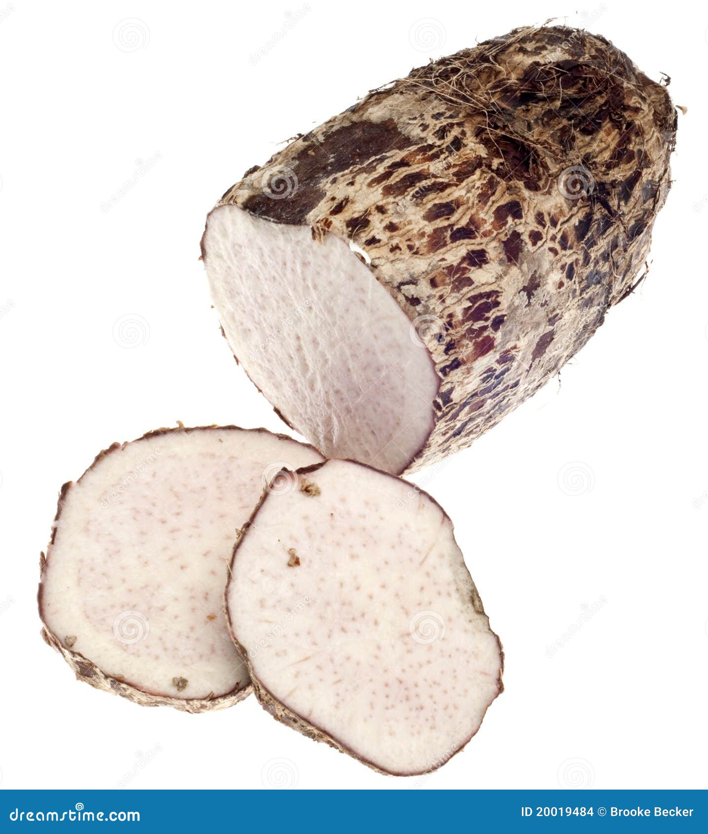 Taro Root Yam Vegetable stock photo. Image of healthy 20019484