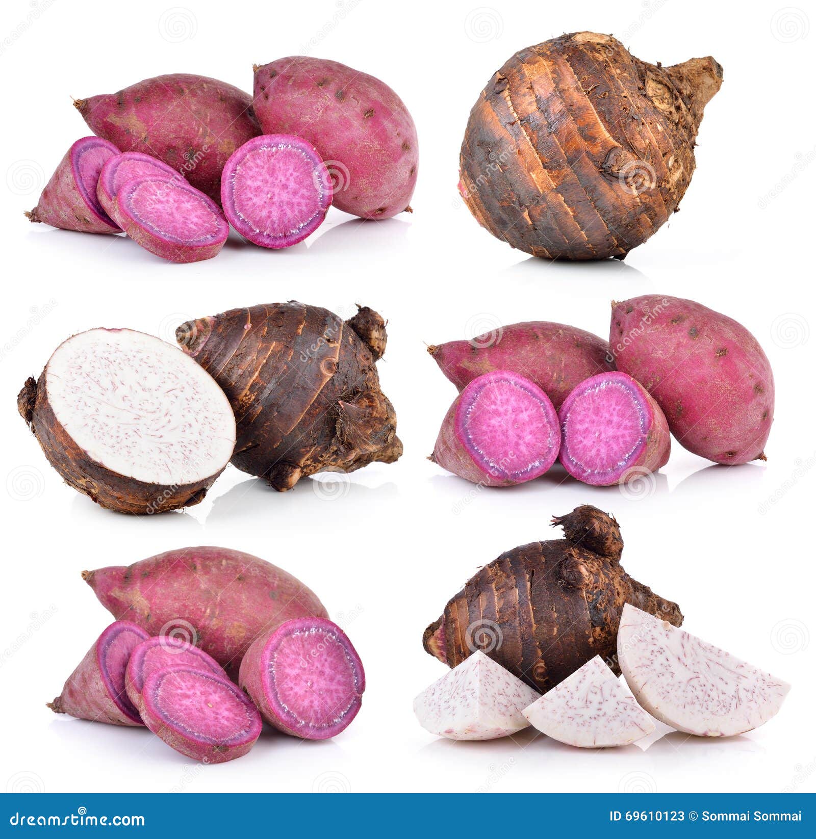 Taro Roots And Sweet Potato On White Background Stock Image Image Of Taro Isolated 69610123