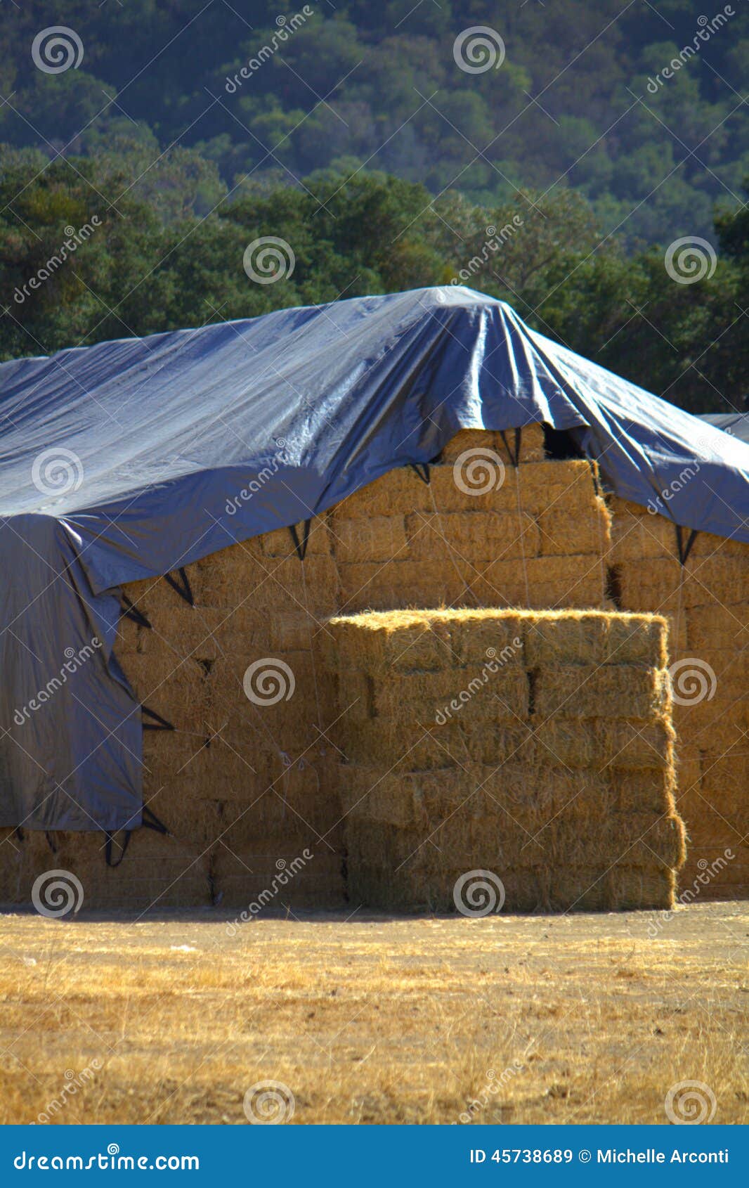 Tarps over Hay stock image. Image of stables, farming 45738689