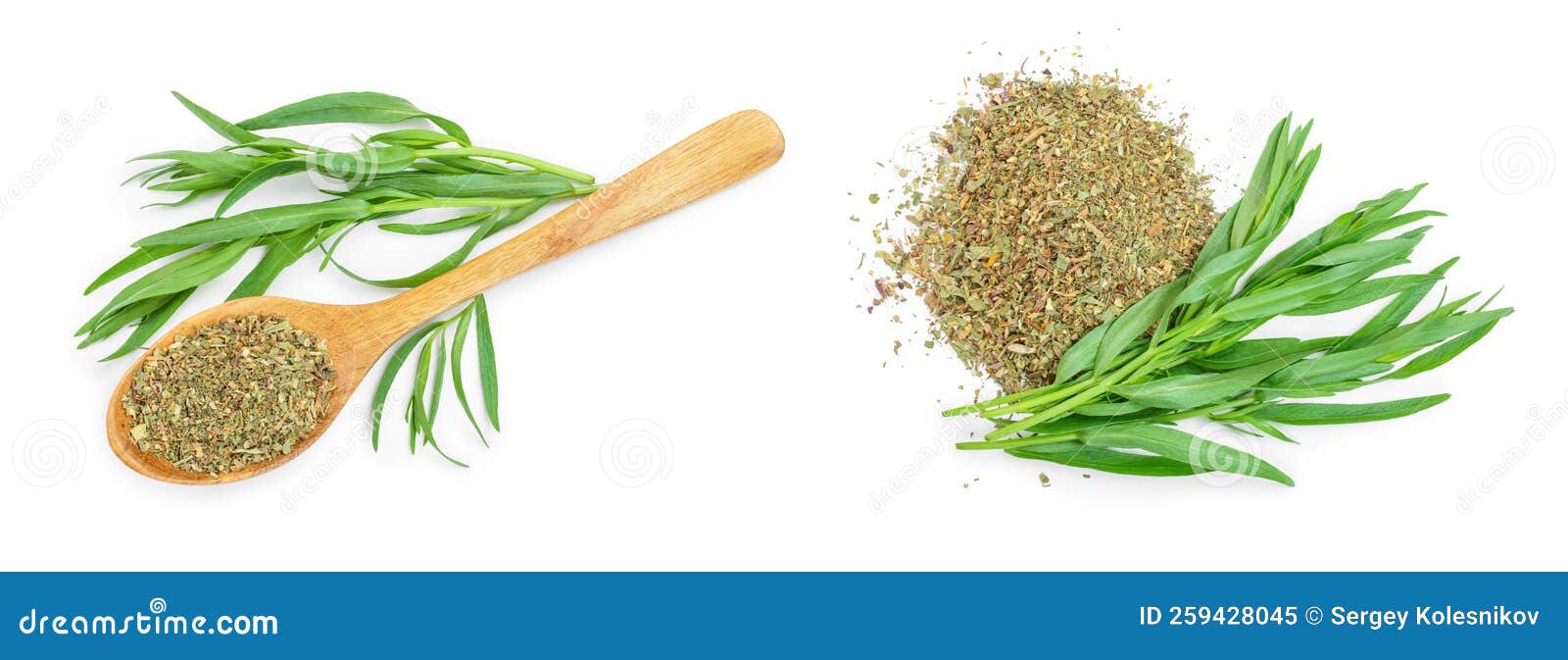 tarragon or estragon fresh and dried  on a white background with copy space for your text. top view. flat lay