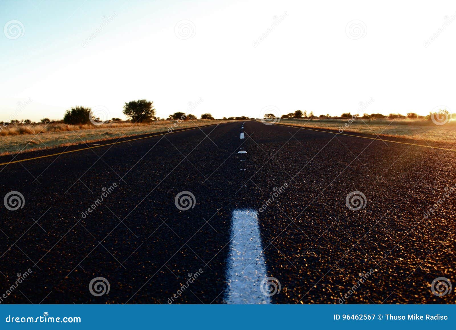 TARRED ROAD at SUNSET stock image. Image of countryside 96462567