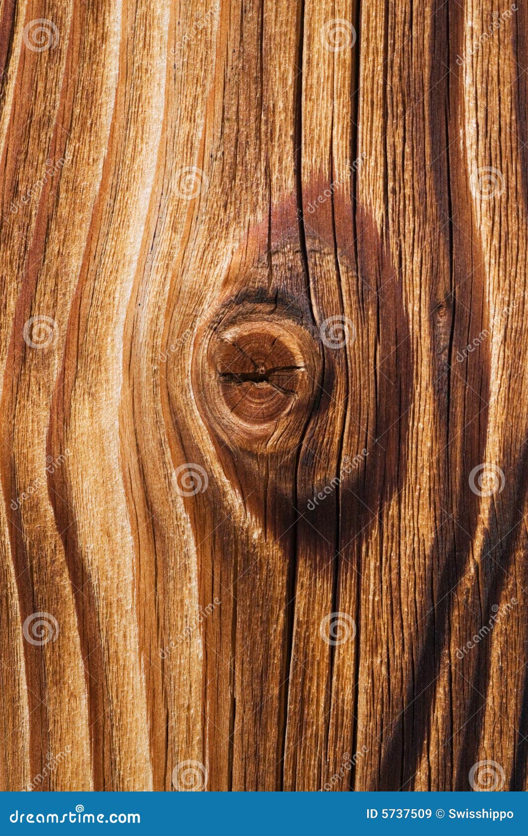 Tarry wooden texture stock image. Image of knot, backgrounds 5737509