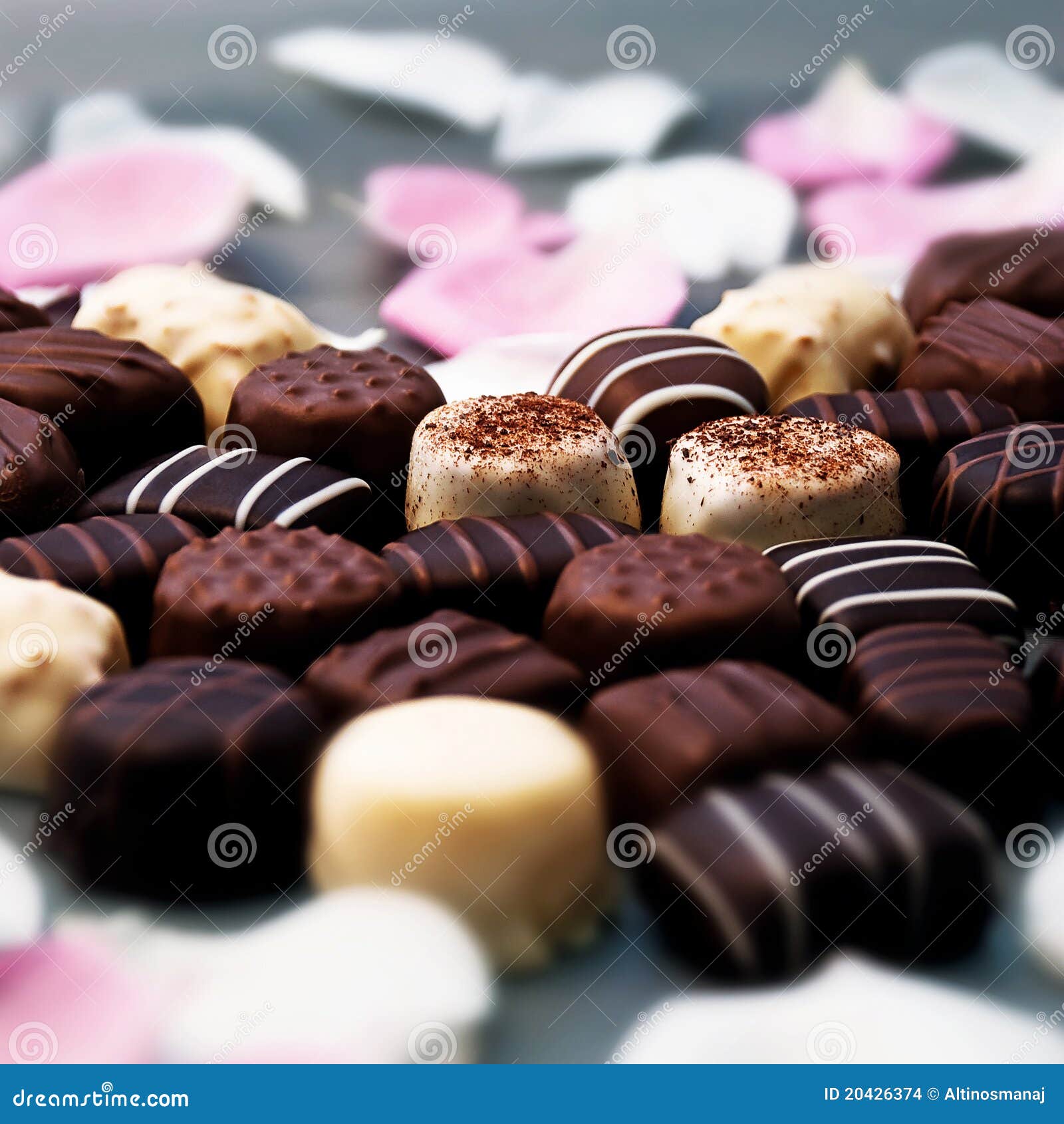 Tartufi di cioccolato e petali di rosa - impostazione romantica dello studio