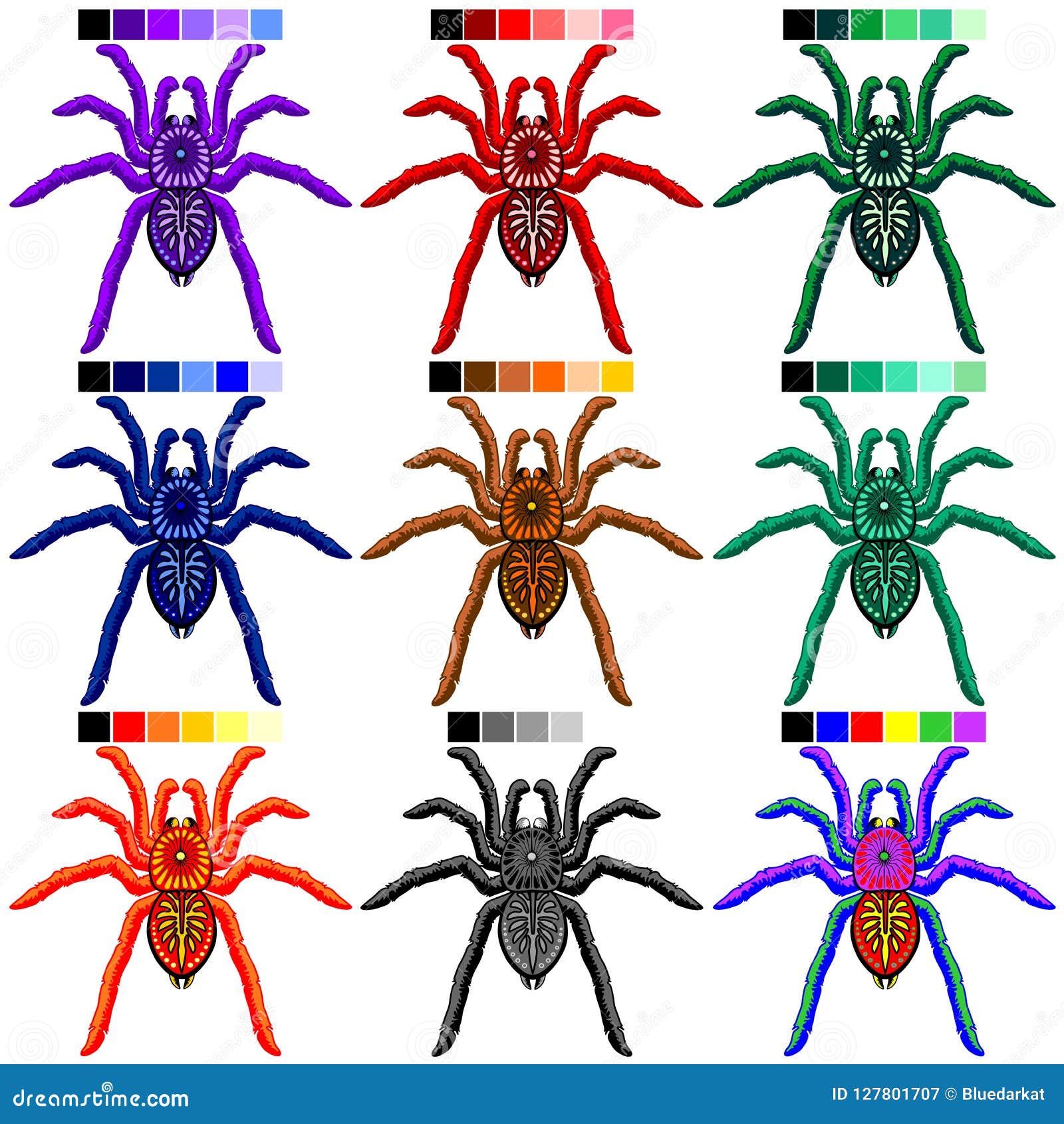 Tarântulas Das Aranhas Ajustadas De 9 Cores Ilustração do Vetor