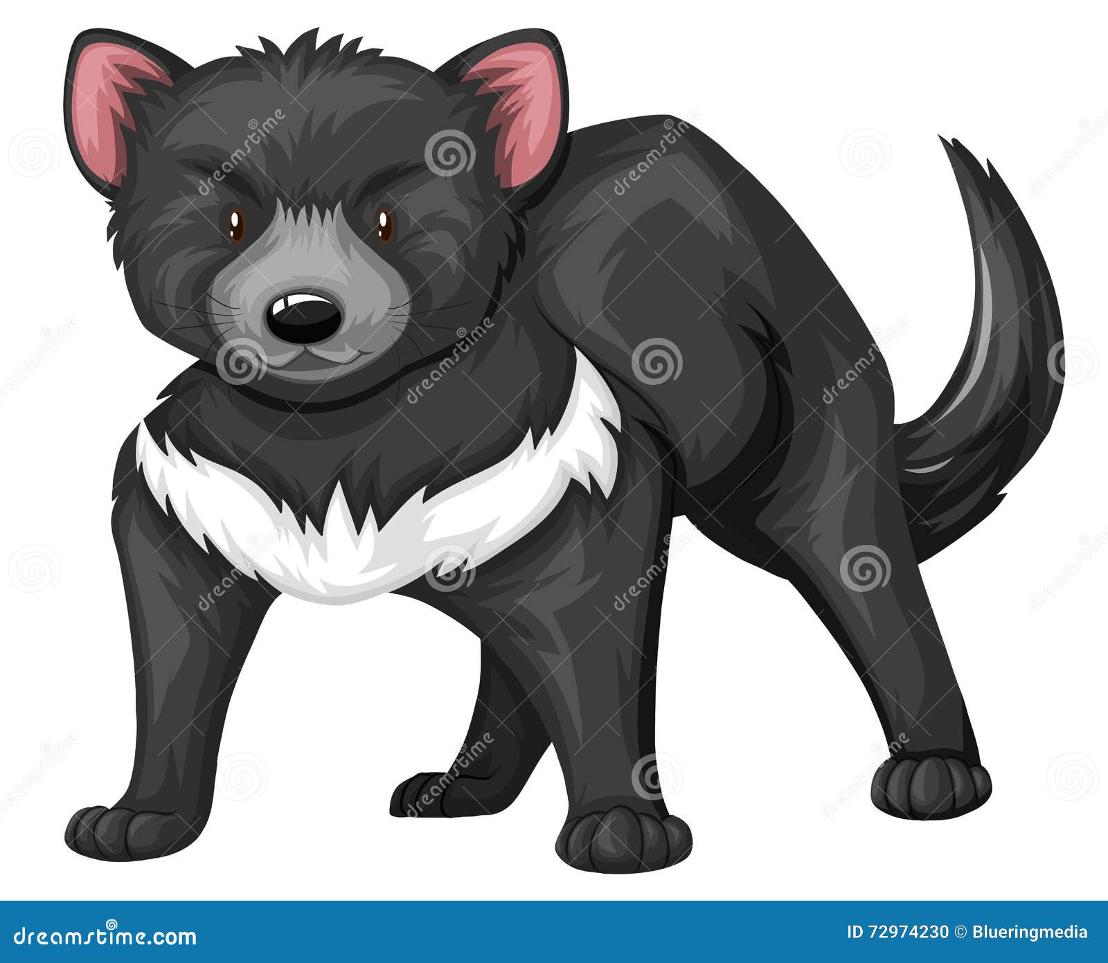 Tasmanian Devil Illustration, Drawing, Engraving, Ink, Line Art, Vector