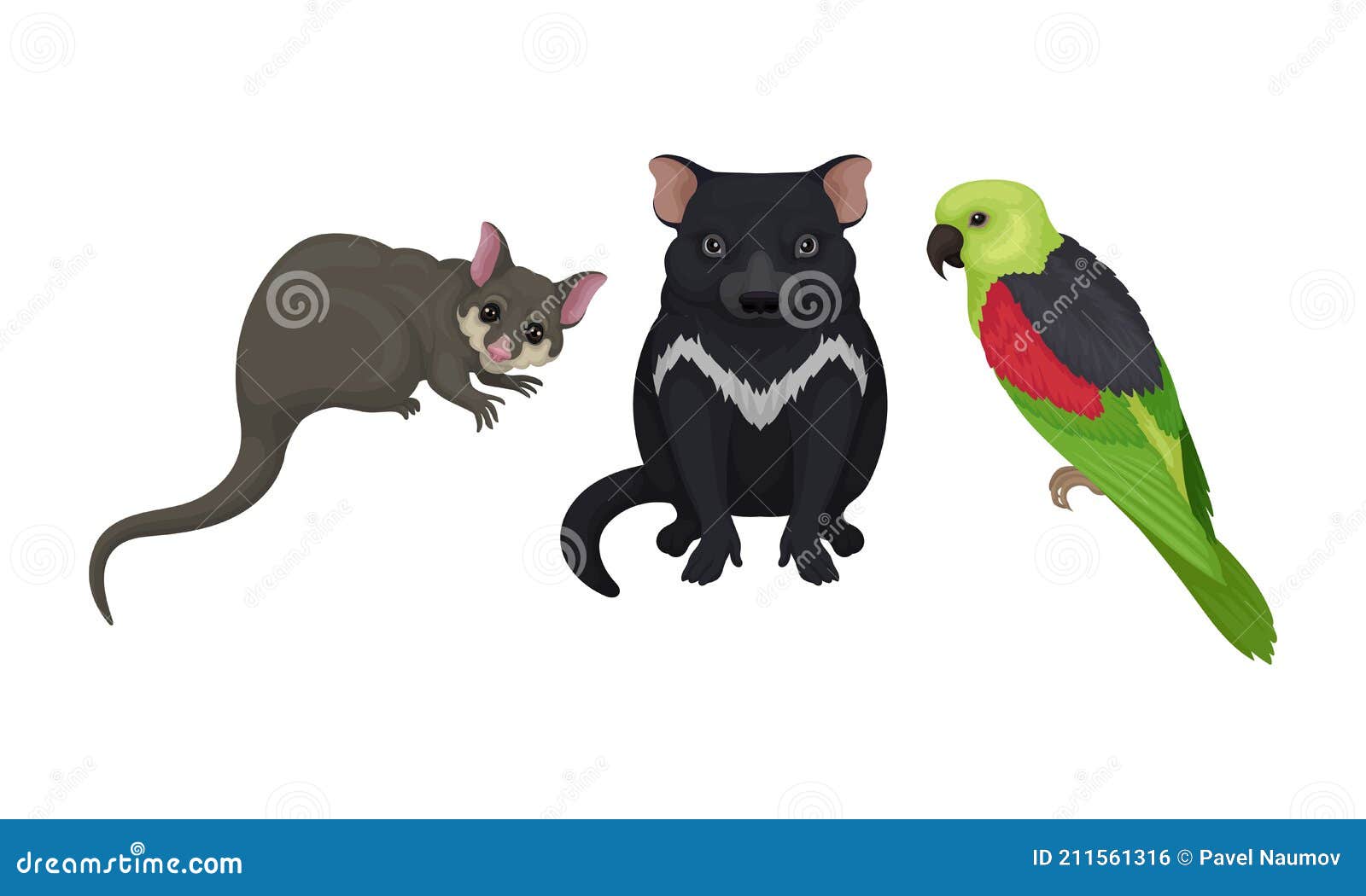 tasmanian devil and sugar glider as australian animals  set