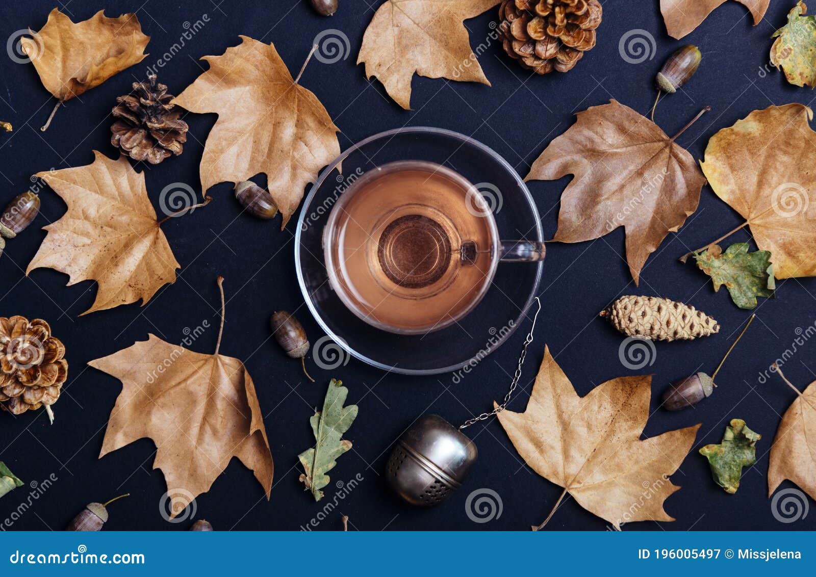 Tasse De Thé Avec Le Gland De Feuilles D'automne Et De Cônes Sur Le Fond  Sombre D'en Haut. Texture De Feuille D'érable Sur Le Papi Image stock -  Image du nature, novembre