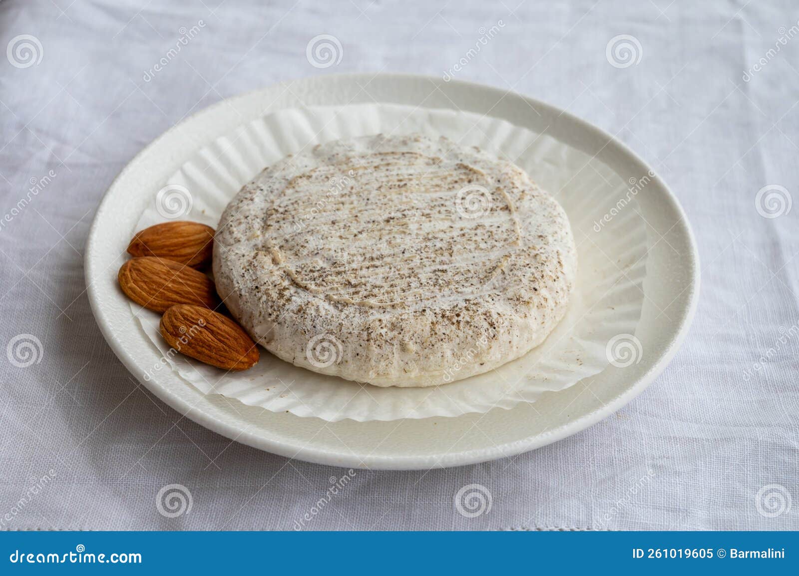 taste of provence, small round cheese tome de provence made from goat milk in banon, alpes-de-haute-provence, france